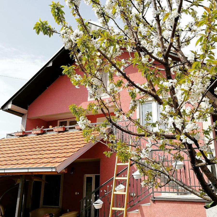 Apartments "Predah Kod Baraca" Ni Exterior foto